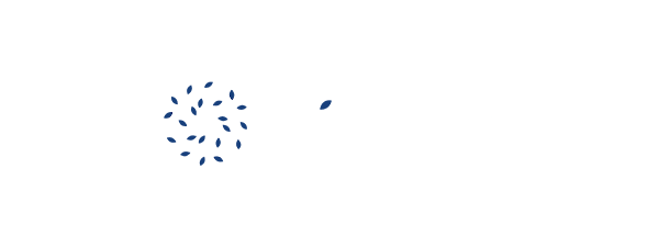 loog-primavera loog-primavera